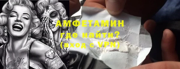 дживик Няндома