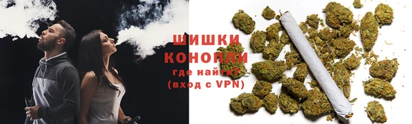 дживик Няндома