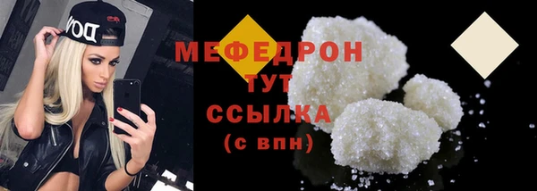 дживик Няндома