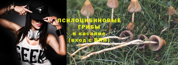 дживик Няндома