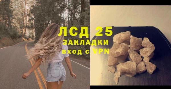 дживик Няндома