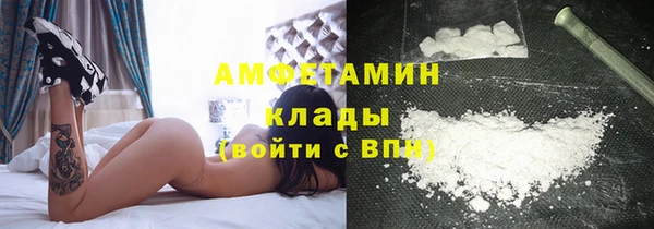 дживик Няндома