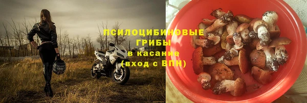 PSILOCYBIN Остров