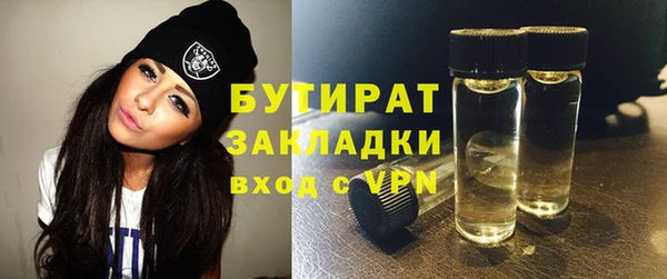 дживик Няндома
